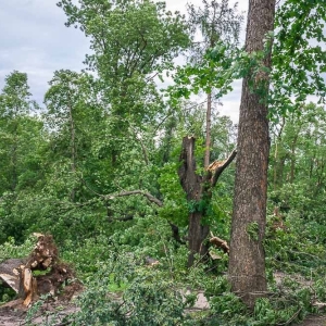 park-po-wichurze-fot-archiwum19.jpg