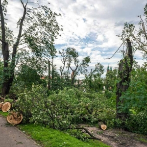 park-po-wichurze-fot-archiwum22.jpg