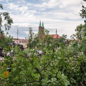 park-po-wichurze-fot-archiwum24.jpg