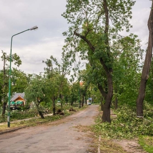 park-po-wichurze-fot-archiwum26.jpg