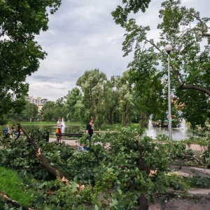 park-po-wichurze-fot-archiwum30.jpg