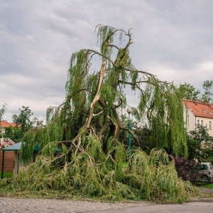 park-po-wichurze-fot-archiwum31.jpg