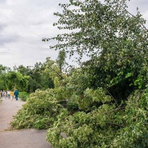 park-po-wichurze-fot-archiwum36.jpg