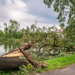 park-po-wichurze-fot-archiwum37.jpg