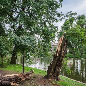 park-po-wichurze-fot-archiwum42.jpg