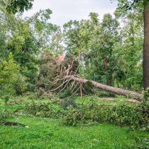 park-po-wichurze-fot-archiwum44.jpg