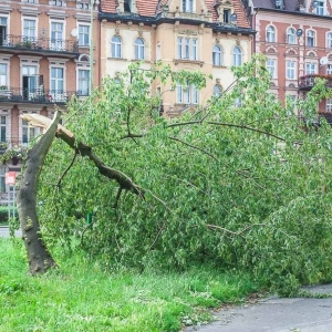 park-po-wichurze-fot-archiwum45.jpg
