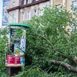 park-po-wichurze-fot-archiwum46.jpg