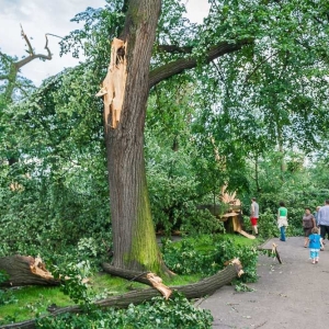 park-po-wichurze-fot-archiwum49.jpg
