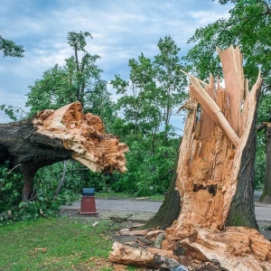park-po-wichurze-fot-archiwum50.jpg