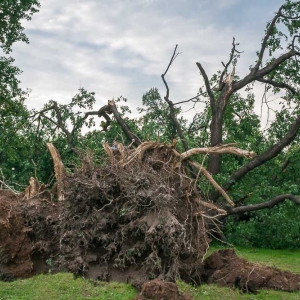 park-po-wichurze-fot-archiwum52.jpg