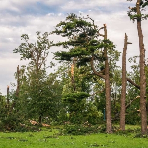 park-po-wichurze-fot-archiwum53.jpg