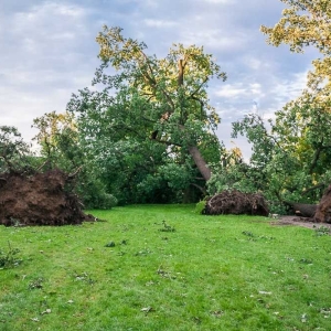 park-po-wichurze-fot-archiwum55.jpg