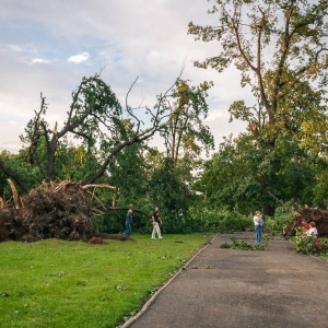park-po-wichurze-fot-archiwum58.jpg