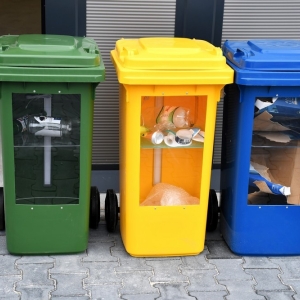 pszok-zlotoryja-fot-zjak035.JPG