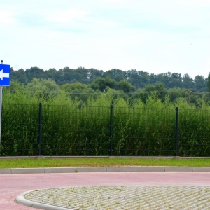 pszok-zlotoryja-fot-zjak051.JPG