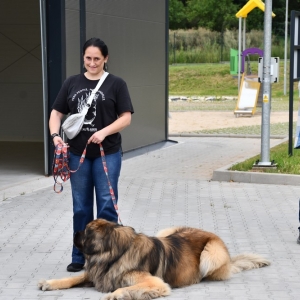 pszok-zlotoryja-fot-zjak085.JPG