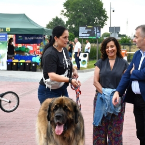 pszok-zlotoryja-fot-zjak093.JPG