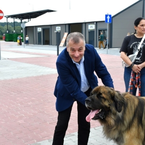 pszok-zlotoryja-fot-zjak099.JPG