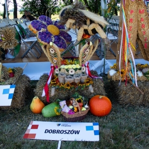 dozynki-okmiany-fot-jakub-wieczorek009.jpg