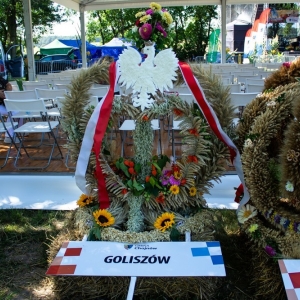 dozynki-okmiany-fot-jakub-wieczorek016.jpg