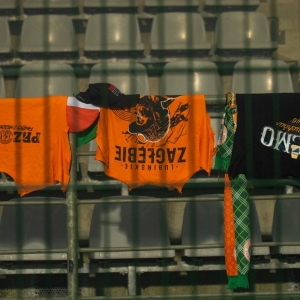 kibice-miedz-arka-fot-jakub-wieczorek229.JPG