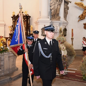 dożynki-legnickie-pole-fot-ewajak028.JPG