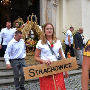 dożynki-legnickie-pole-fot-ewajak044.JPG