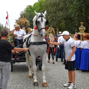 dożynki-legnickie-pole-fot-ewajak049.JPG