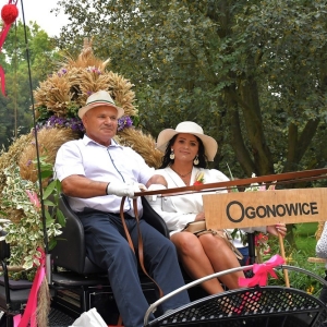 dożynki-legnickie-pole-fot-ewajak051.JPG