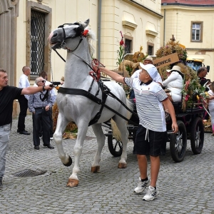 dożynki-legnickie-pole-fot-ewajak052.JPG