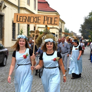 dożynki-legnickie-pole-fot-ewajak063.JPG