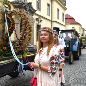 dożynki-legnickie-pole-fot-ewajak072.JPG