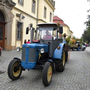 dożynki-legnickie-pole-fot-ewajak073.JPG