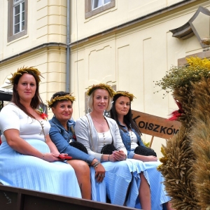 dożynki-legnickie-pole-fot-ewajak076.JPG
