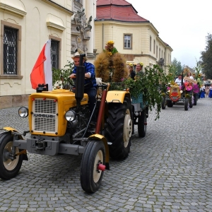 dożynki-legnickie-pole-fot-ewajak077.JPG