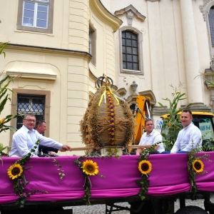 dożynki-legnickie-pole-fot-ewajak082.JPG