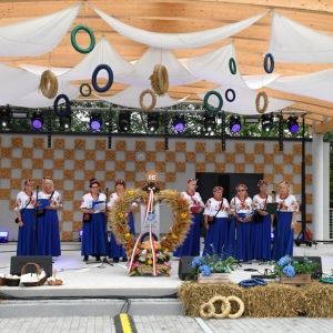 dożynki-legnickie-pole-fot-ewajak225.JPG
