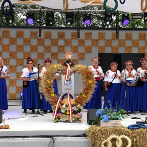 dożynki-legnickie-pole-fot-ewajak226.JPG
