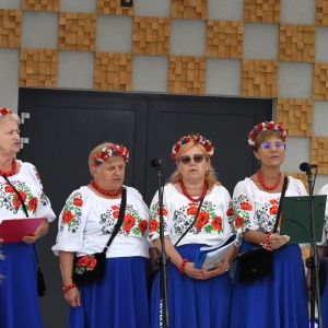 dożynki-legnickie-pole-fot-ewajak229.JPG