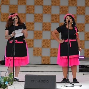 dożynki-legnickie-pole-fot-ewajak312.JPG