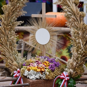 31.008.24-Dozynki-Pielgrzymka_111.jpg