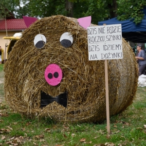 31.008.24-Dozynki-Pielgrzymka_4.jpg