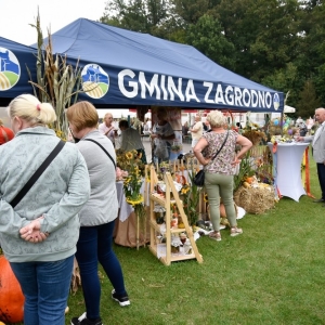 31.08.24-Dozynki-Zagrodno_42.jpg