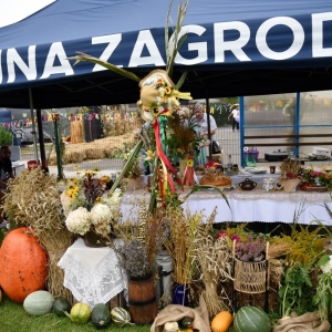 31.08.24-Dozynki-Zagrodno_43.jpg
