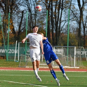 miedzII-slaskII-fot-ewajak034.JPG