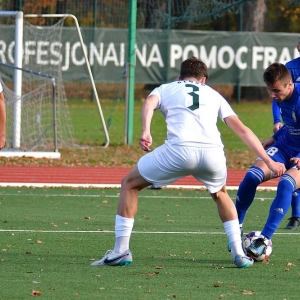 miedzII-slaskII-fot-ewajak087.JPG
