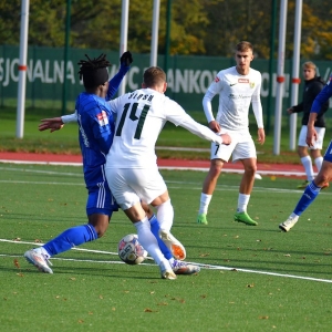 miedzII-slaskII-fot-ewajak090.JPG