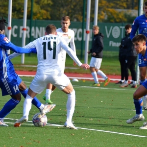 miedzII-slaskII-fot-ewajak091.JPG