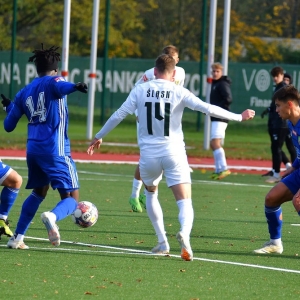 miedzII-slaskII-fot-ewajak092.JPG